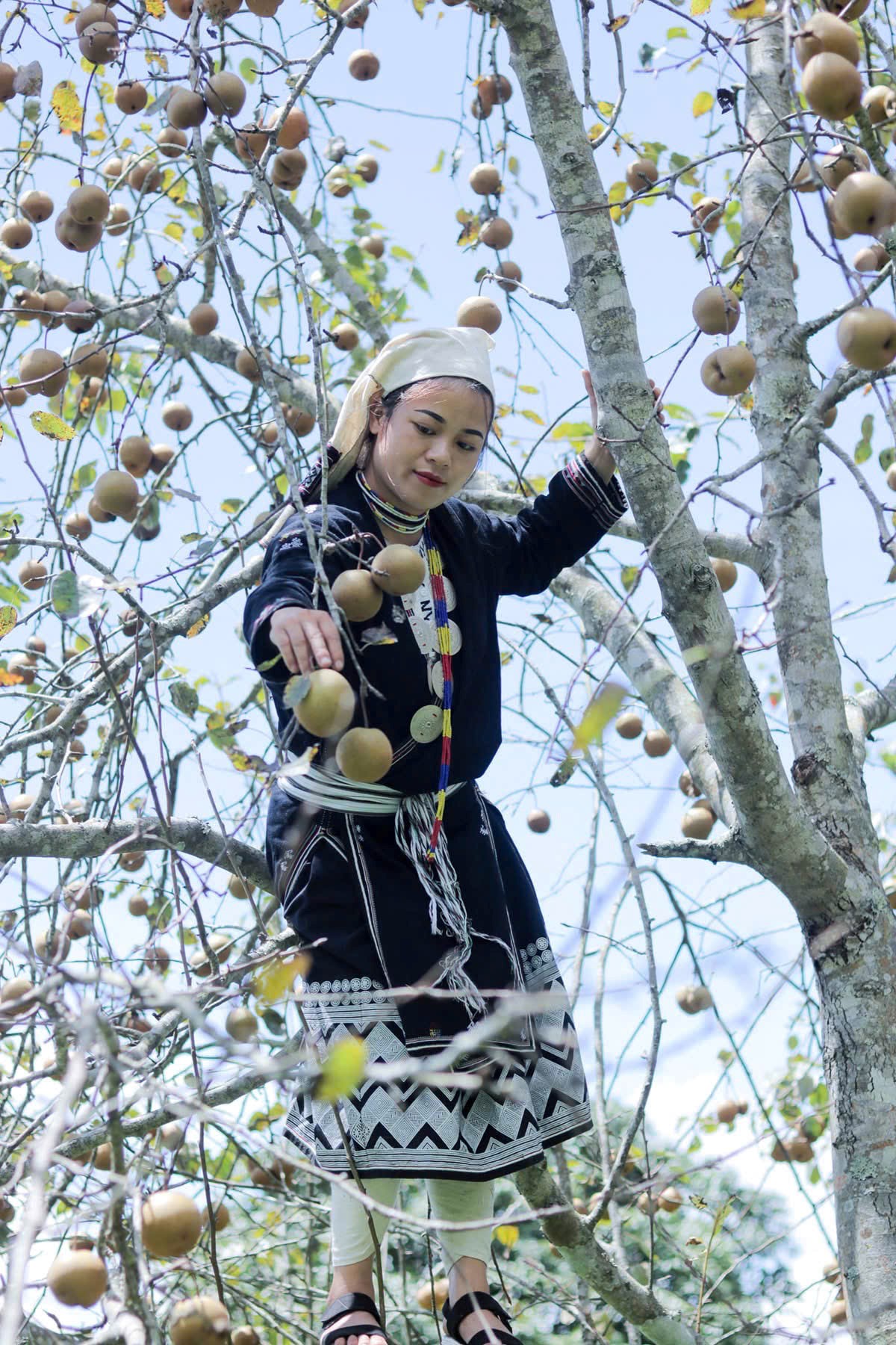 Vườn nông nghiệp Tân Hợp